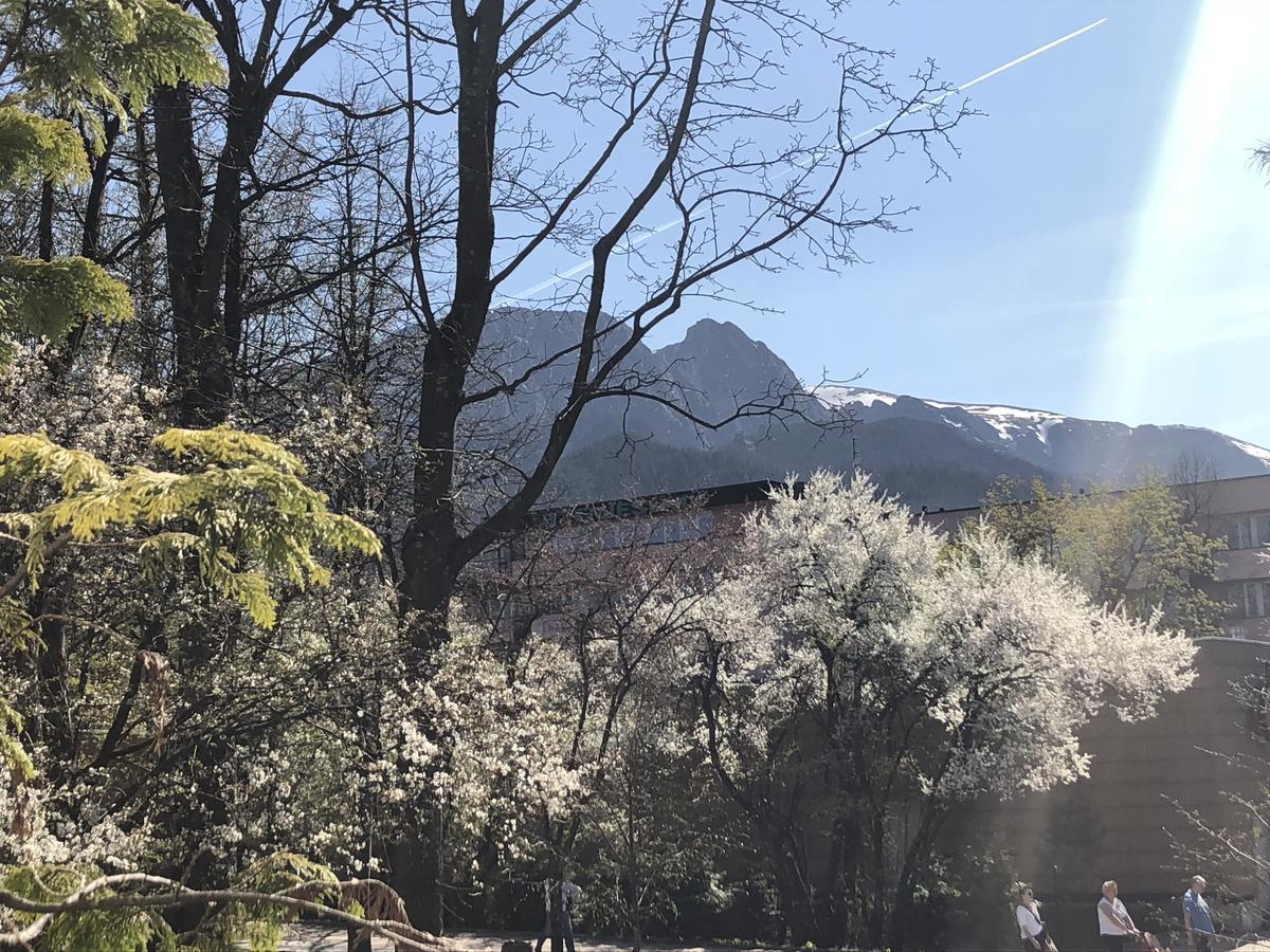 Tuberoza 3* Zakopane